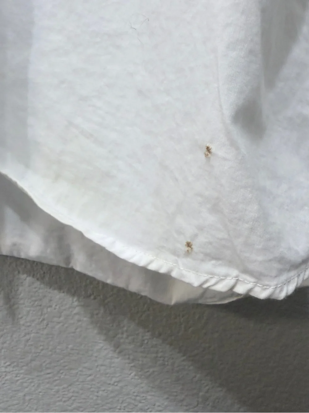 Zara this item